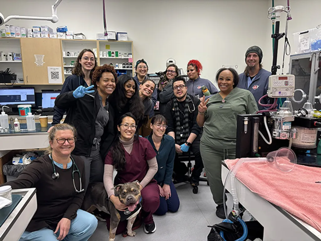 PETS Referral Center